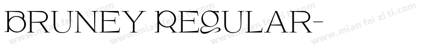 Bruney Regular字体转换